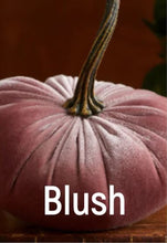 Load image into Gallery viewer, Plush Velvet Pumpkin
