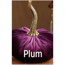 Load image into Gallery viewer, Plush Velvet Pumpkin
