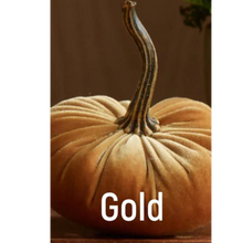 Load image into Gallery viewer, Plush Velvet Pumpkin
