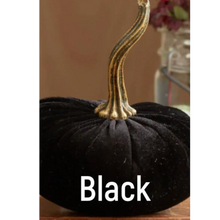 Load image into Gallery viewer, Plush Velvet Pumpkin
