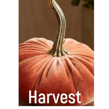 Load image into Gallery viewer, Plush Velvet Pumpkin
