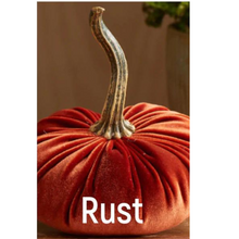 Load image into Gallery viewer, Plush Velvet Pumpkin
