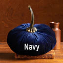 Load image into Gallery viewer, Plush Velvet Pumpkin
