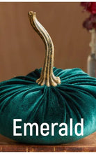 Load image into Gallery viewer, Plush Velvet Pumpkin
