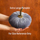 Load image into Gallery viewer, Plush Velvet Pumpkin
