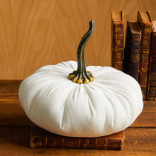 Load image into Gallery viewer, Plush Velvet Pumpkin
