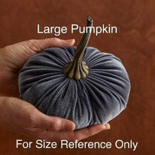 Load image into Gallery viewer, Plush Velvet Pumpkin
