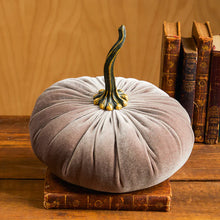 Load image into Gallery viewer, Plush Velvet Pumpkin
