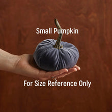 Load image into Gallery viewer, Plush Velvet Pumpkin
